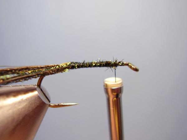 Leadwing Coachman