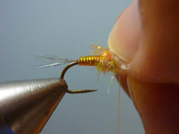 LW's Orange BB