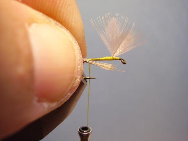 Blue-Winged Olive Catskill