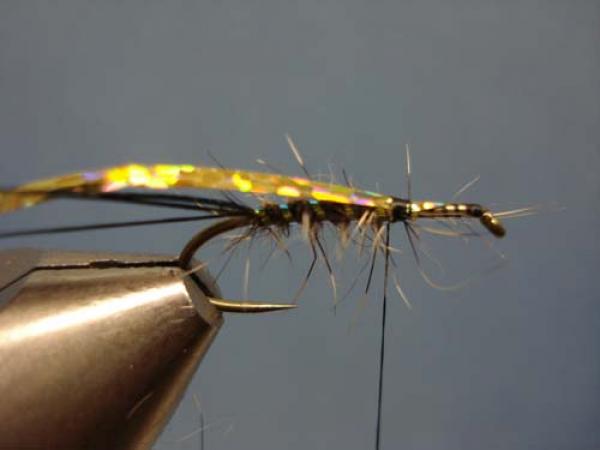 Loren's hare's Ear