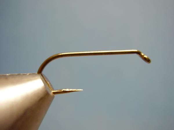 Olive Gold-Ribbed Hares Ear