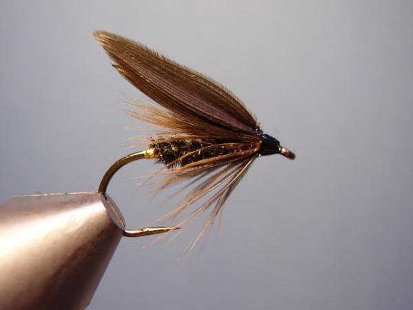Leadwing Coachman