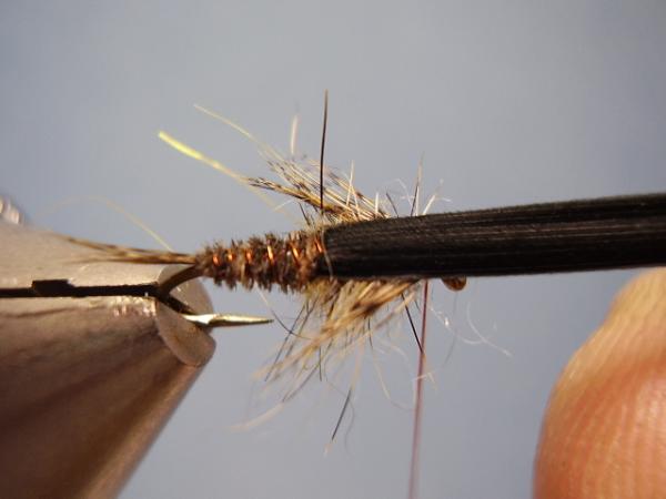LW's Dark Quill Sulphur