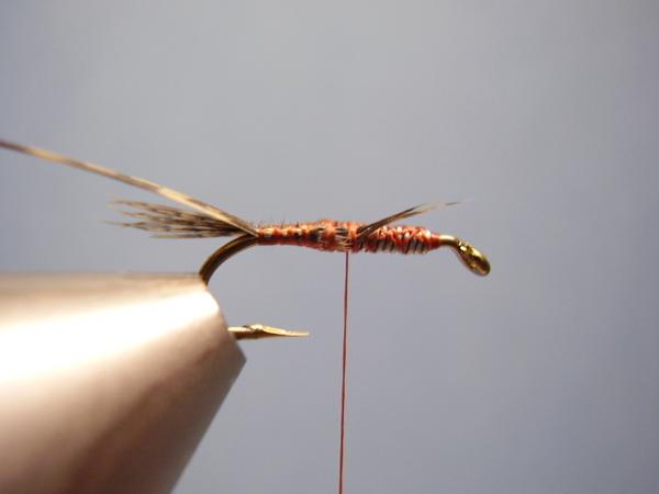 LW's Dark Quill Sulphur
