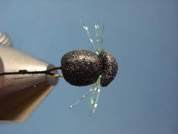 Foam Beetle