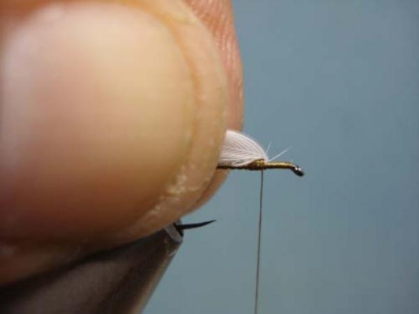 Hen Wing Sulphur Spinner