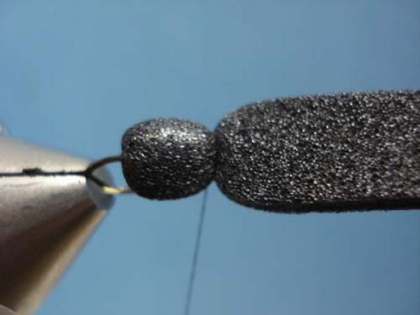 Foam Beetle