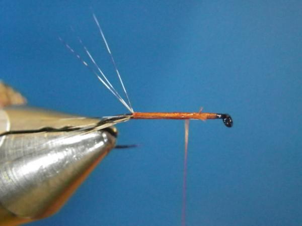 LW's Isonychia F-Plus