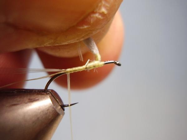 Sulphur Parachute