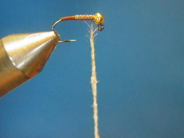 Walt's Worm
