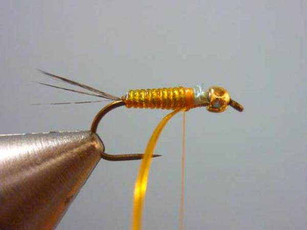LW's Orange BB