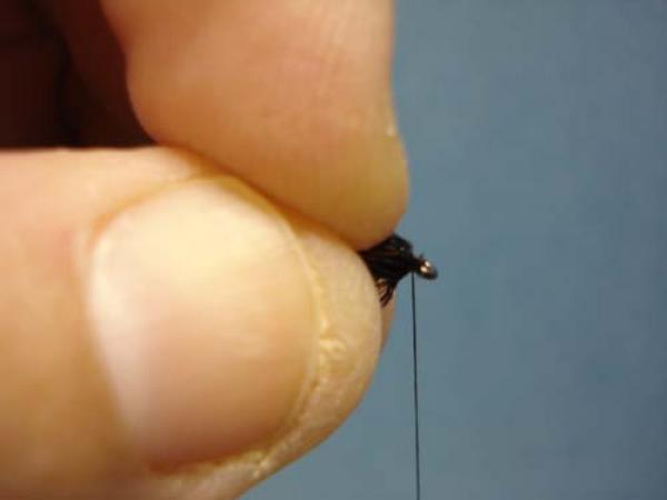 Pheasant Tail Cruncher