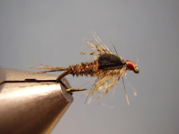 LW's Dark Quill Sulphur