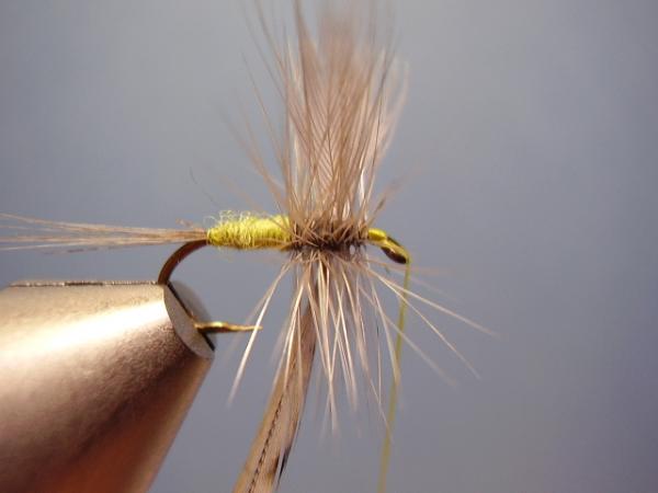 Blue-Winged Olive Catskill