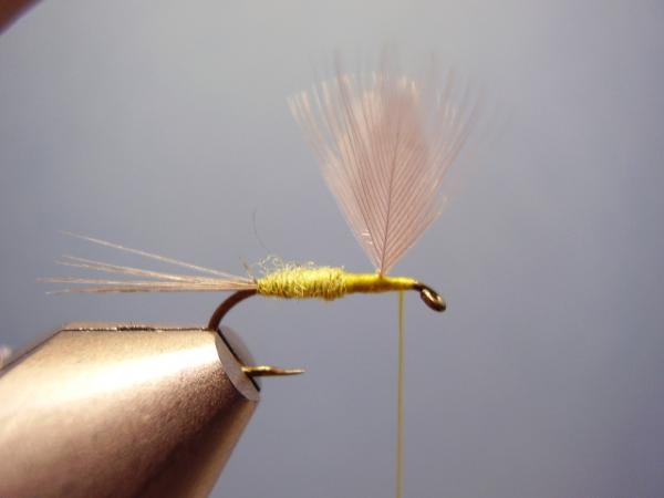 Blue-Winged Olive Catskill
