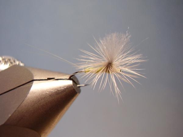Sulphur Parachute
