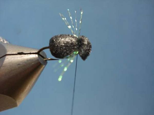 Foam Beetle