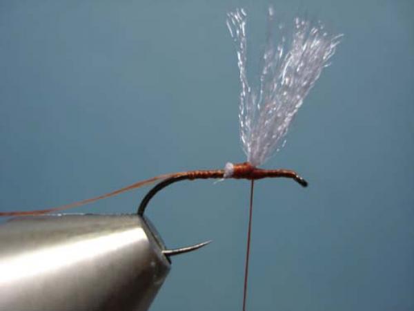 Poly Wing Rusty Spinner
