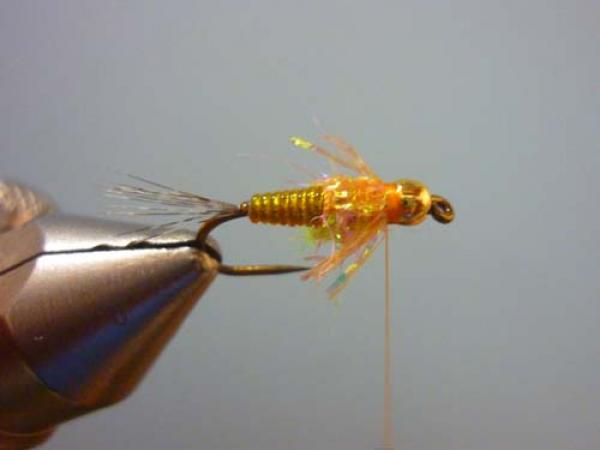 LW's Orange BB