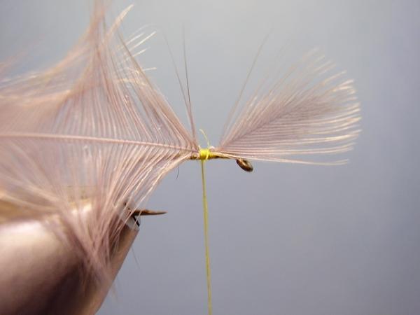 Blue-Winged Olive Catskill