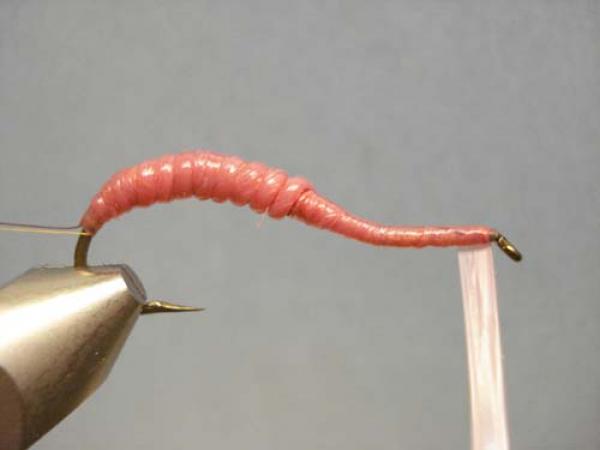 Vladi Worm