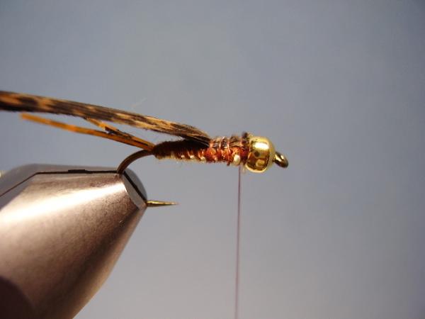 LW's Light Frontliner