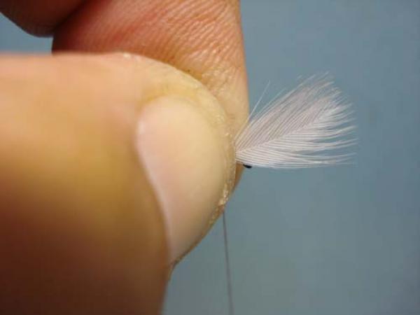 Hen Wing Sulphur Spinner