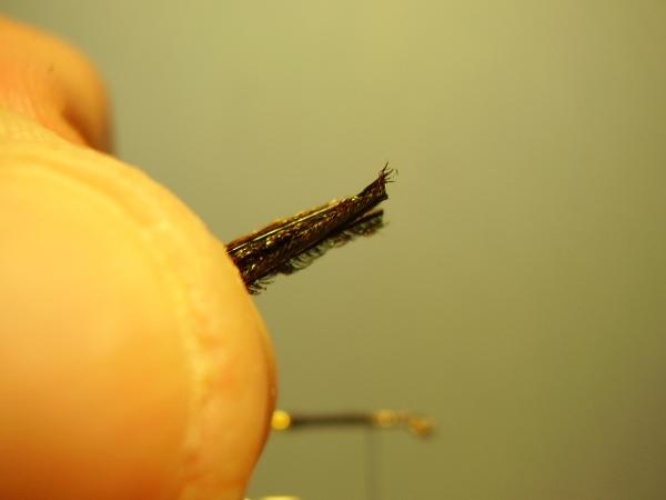Leadwing Coachman