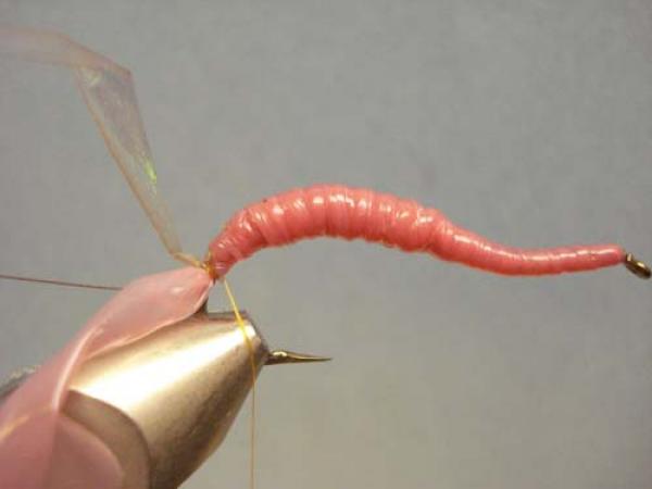 Vladi Worm