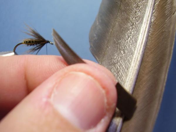 Leadwing Coachman