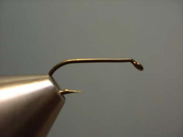 LW's Light Quill Sulphur