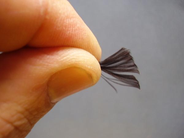 Woven Polish Nymph