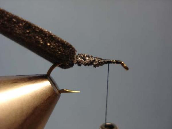Foam Beetle