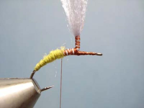 Olive Klinkhamer Special