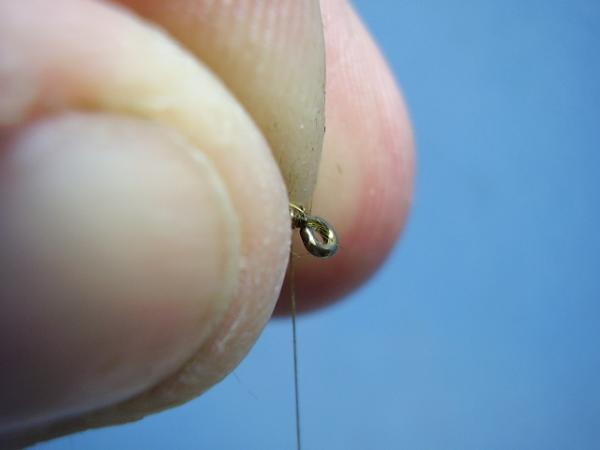 Olive Gold-Ribbed Hares Ear