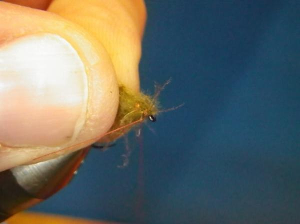 LW's F-Plus Caddis