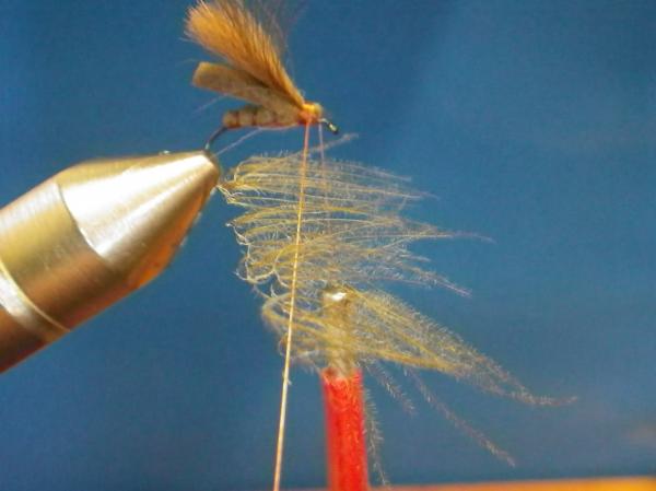 LW's F-Plus Caddis
