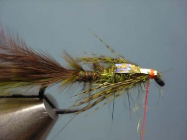 Little Pine Damsel