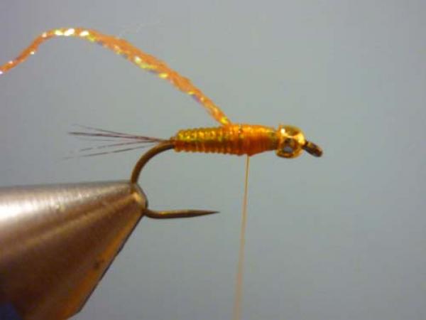 LW's Orange BB