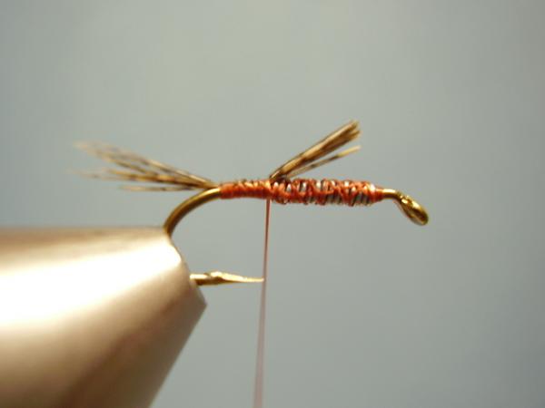 LW's Dark Quill Sulphur