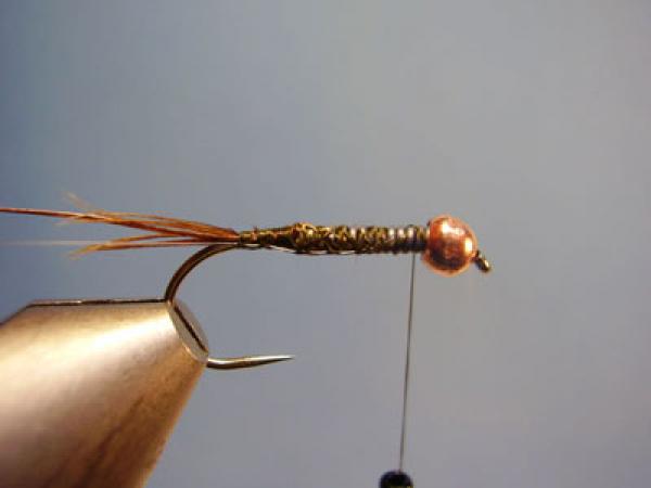 Hare and Copper
