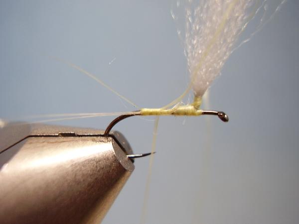 Sulphur Parachute